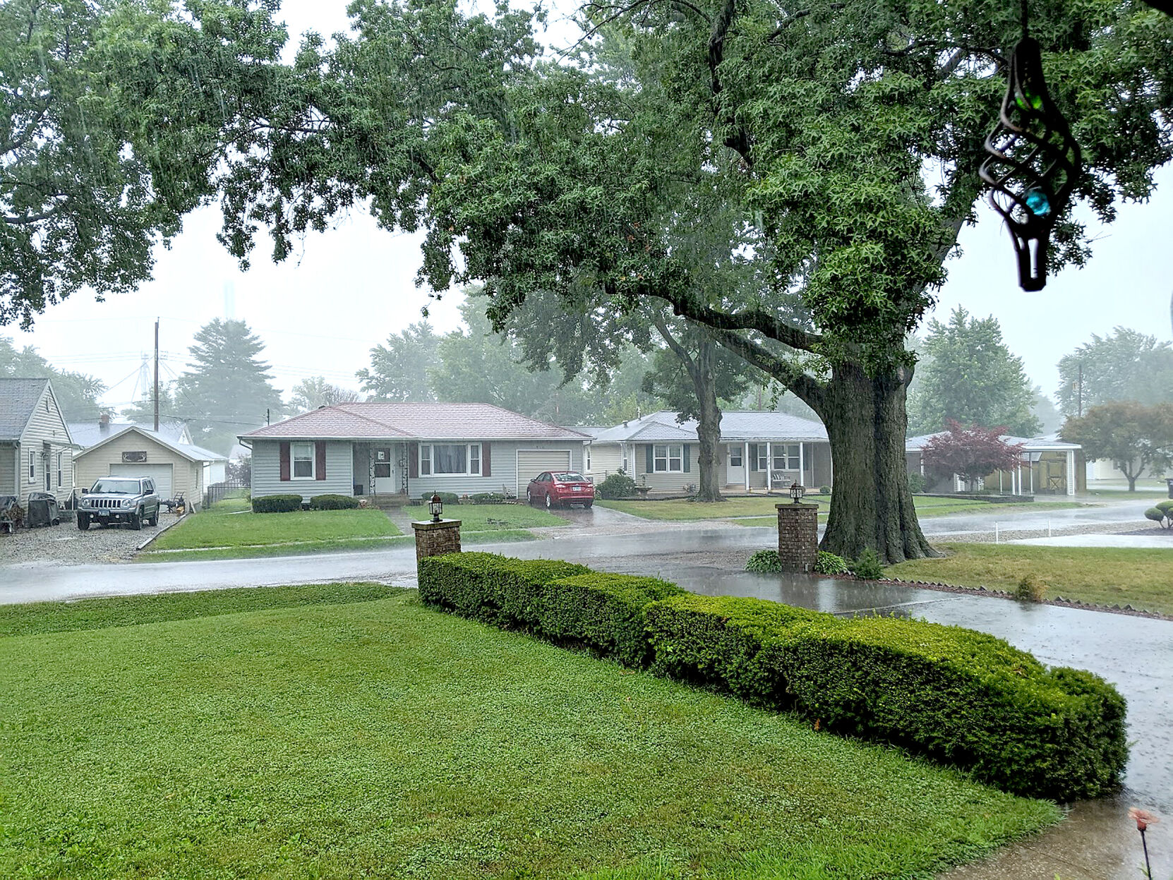 Tree dispute falls on city